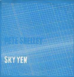 Pete Shelley : Sky Yen